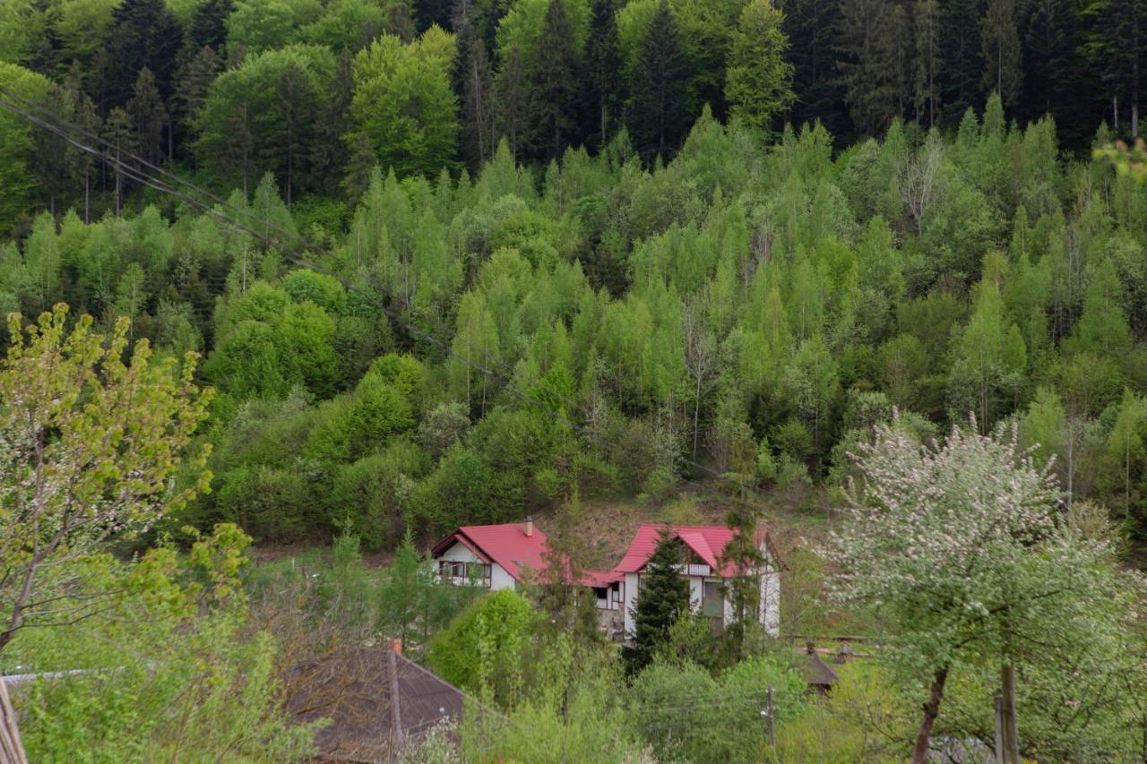 Villa Kamyanka Yaremche Exterior foto